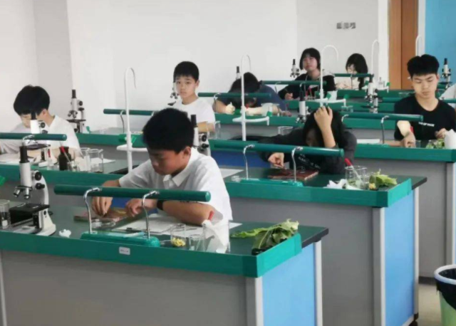 坚持五育并举促进学生全面发展以教育质量的稳步提高人人成才 坚持五育并举促进学生全面发展以教育质量的稳步提高人人成才